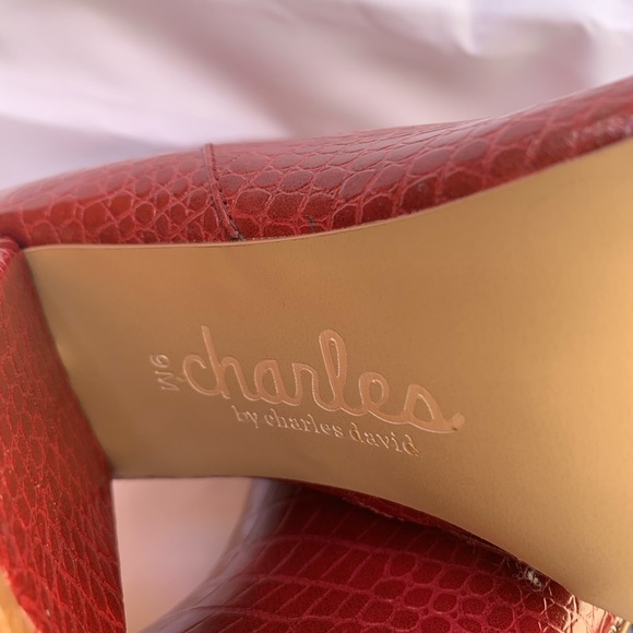 Charles by Charles David Virgil - Picture 8 of 8